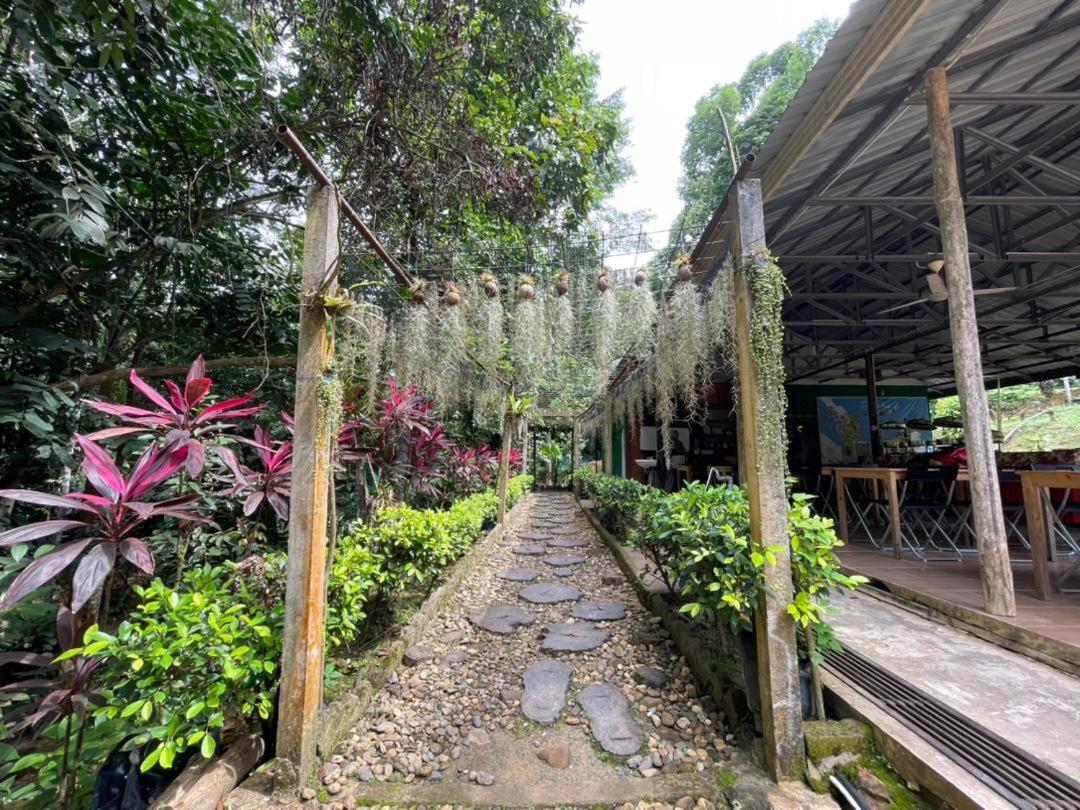 Danz Eco Resort Kuala Tahan Exterior photo